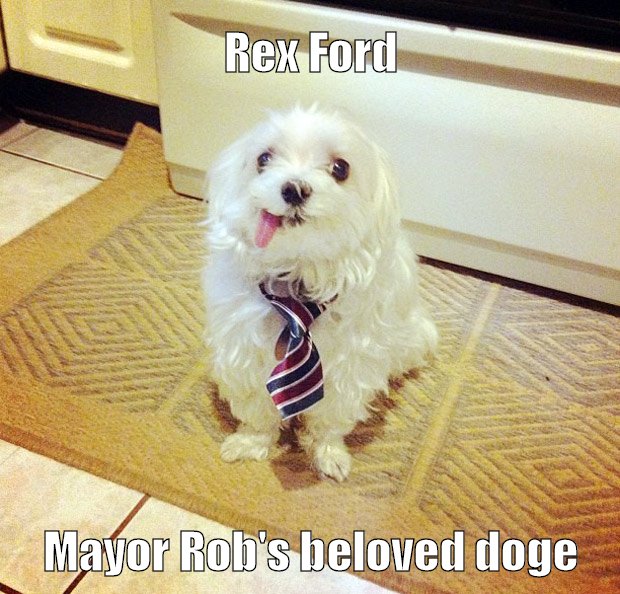 This is what happens to a happy little pup after being adopted by Rob Ford