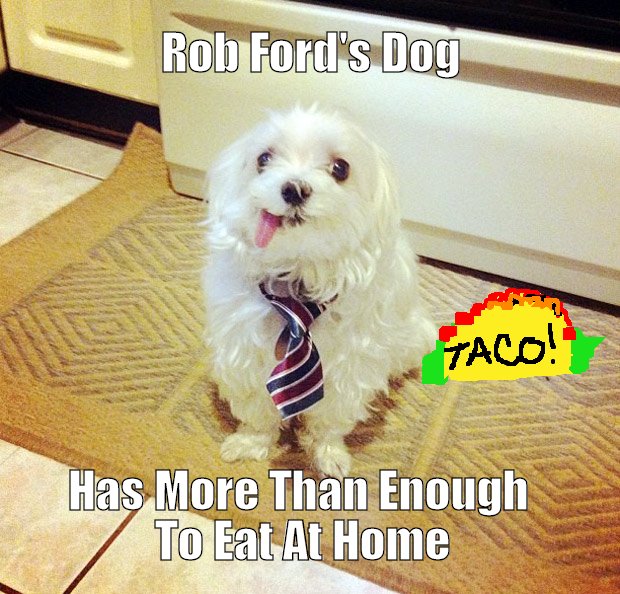 Rob Ford's dog speaks out against alleged allegations from local bitches