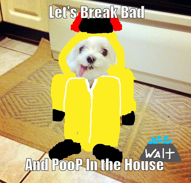 Let's Break Bad and poop in the house BITCH!