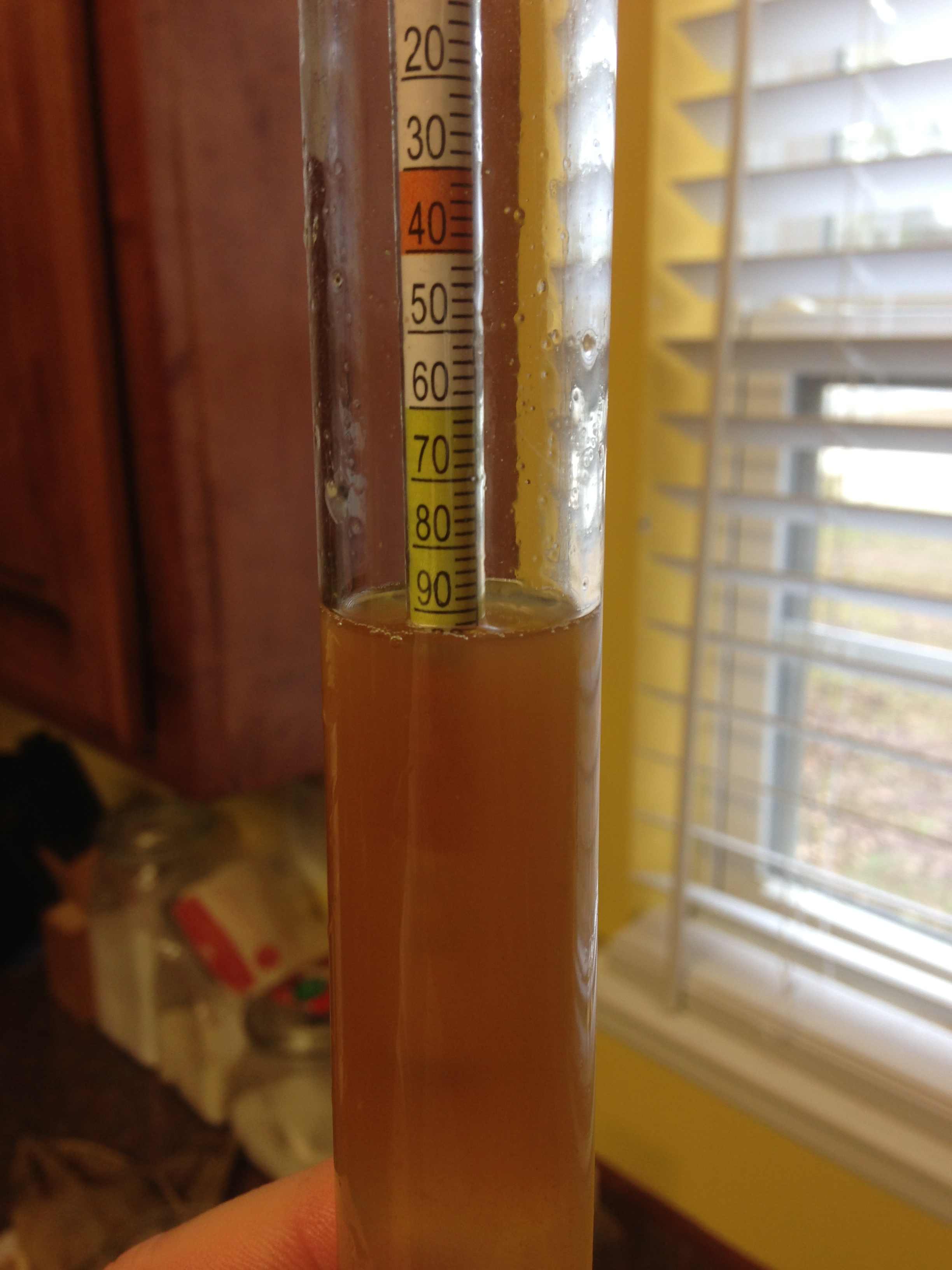 Take a quick hydrometer reading. Shows 1.091 which means could obtain 10.35 ABV but no less than 9.2 ABV