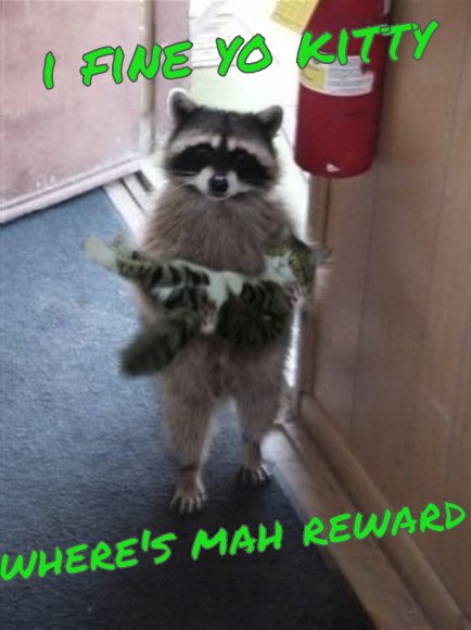 I found your cat, where's my reward?