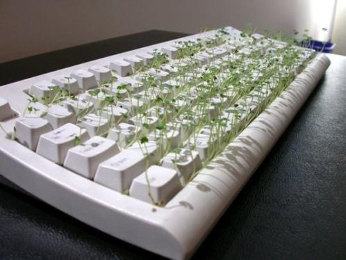 Keyboard Art
