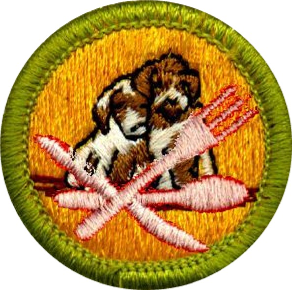 Boy Scout merit badge he earned.