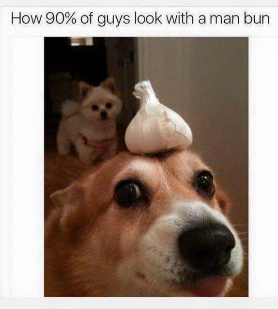 dog with garlic man bun - How 90% of guys look with a man bun