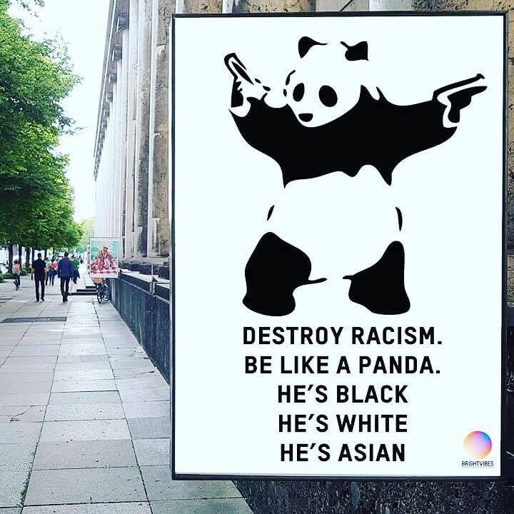 memes - destroy racism be like a panda - Destroy Racism. Be A Panda. He'S Black He'S White He'S Asian Brightvibes