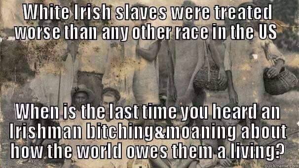 memes - irish slaves in america meme - White Irish slaves were treated Worse than any other race in the Us When is the last time you heard an Irishman bitching&moaning about how the world owes them a living?