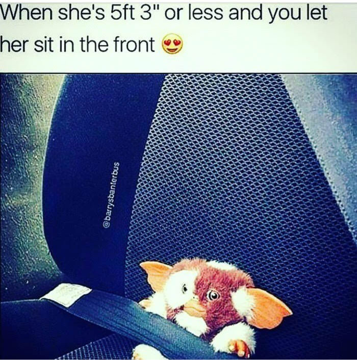 memes - 5ft meme - When she's 5ft 3" or less and you let her sit in the front