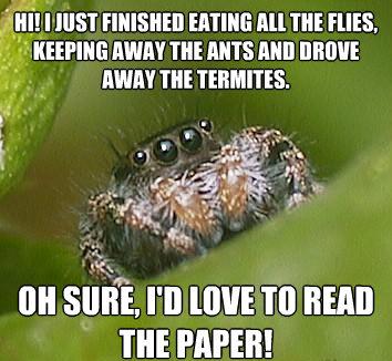 Best of Misunderstood House Spider Meme