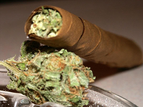 Marijuana in Large Quantities and Good Quality