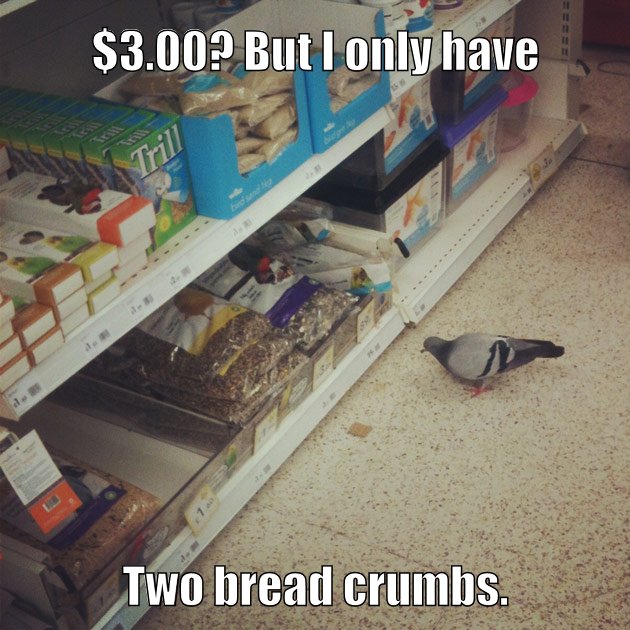 Bread crumbs.