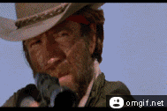 Chuck Norris Gif gallery  fixed