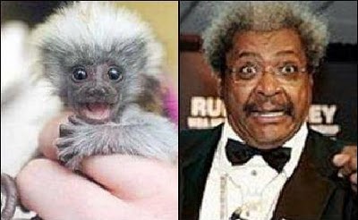 Celebrities and Animals That Were Separated At Birth