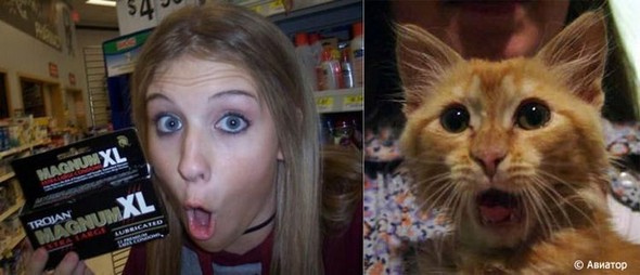 Celebrities and Animals That Were Separated At Birth