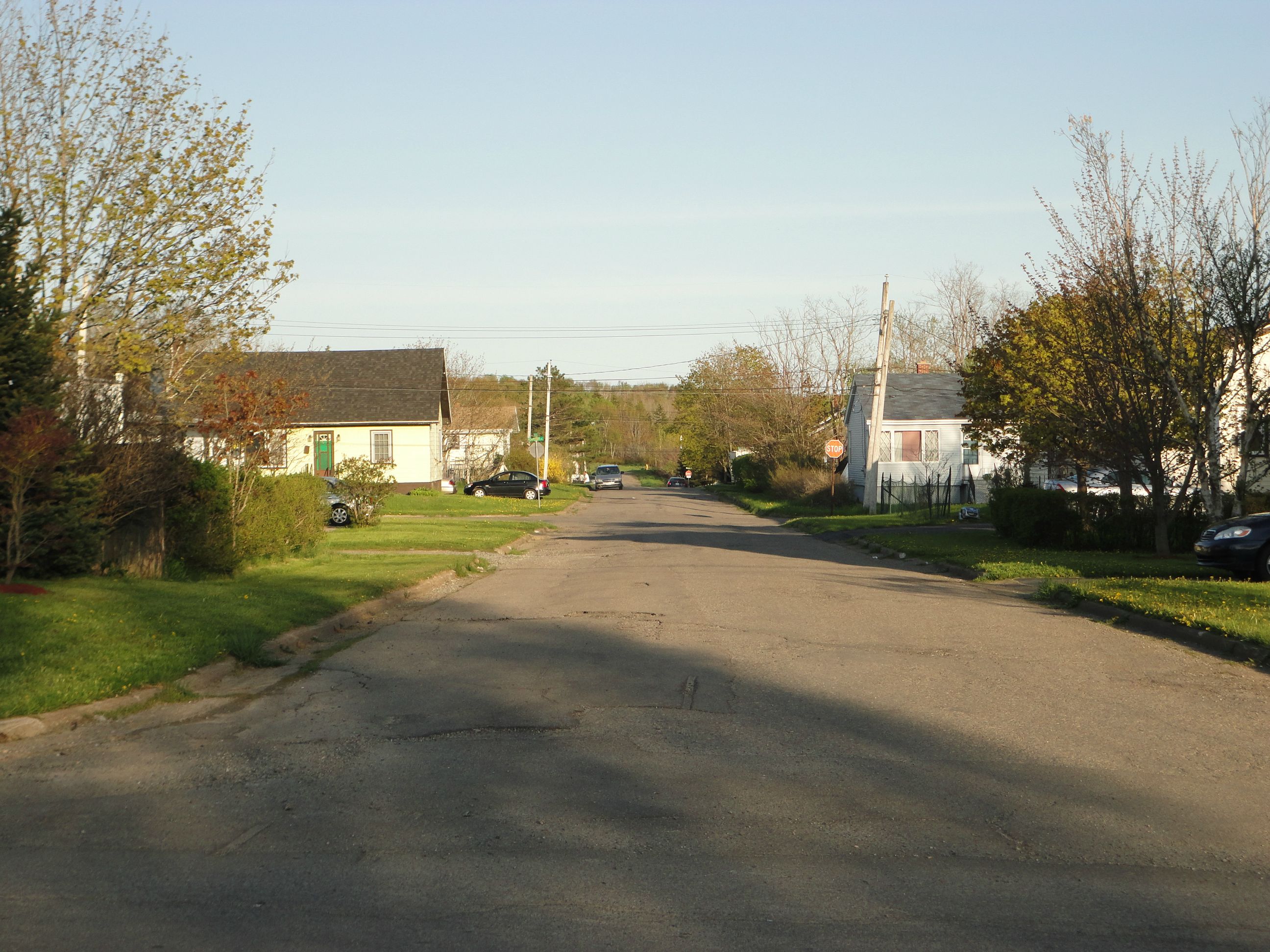 Here is Another View of Ainsley Street in Sydney during Late Spring.