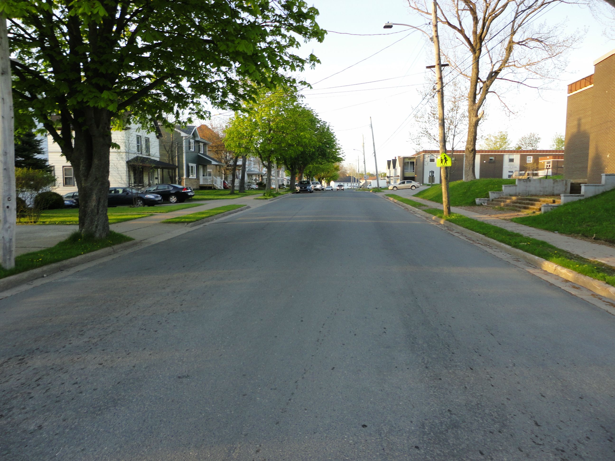 Here is Another View of Whitney Avenue during Late Spring and the Leaves is Growing on the Trees.