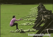Awesome Gifs and Girls