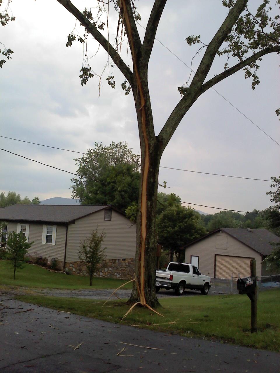 Heard a loud "boom" during a recent storm, went out afterward and discovered this in my neighbor's yard.