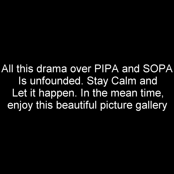 Don't Worry About PIPA-SOPA And Enjoy These Famous Nude Pics