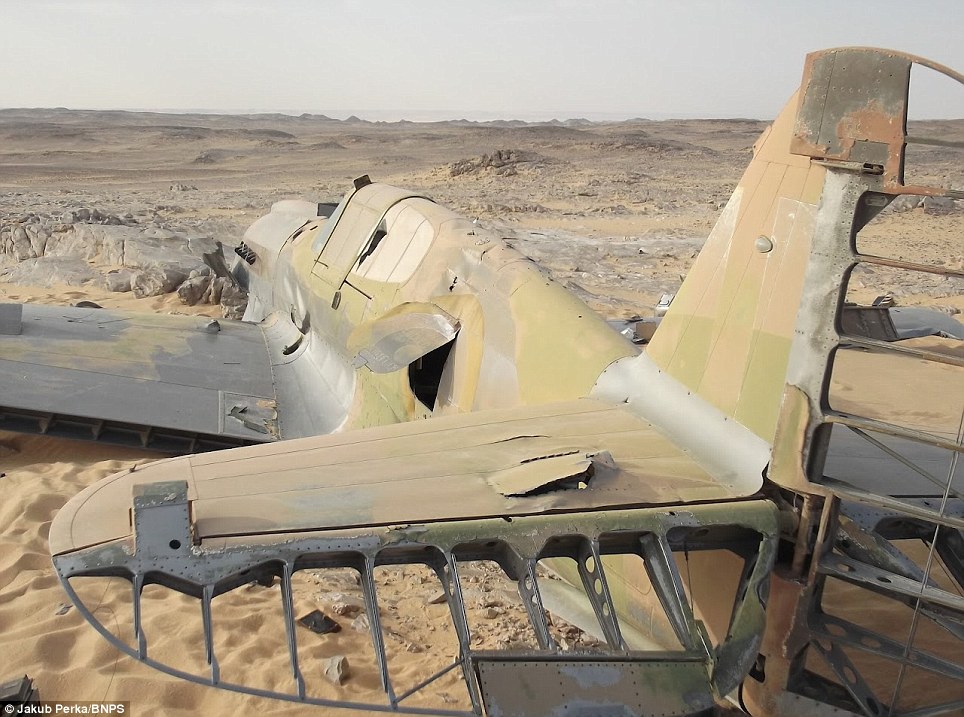 WWII British P-40 Found In The Egyptian Desert 70yrs After Crash