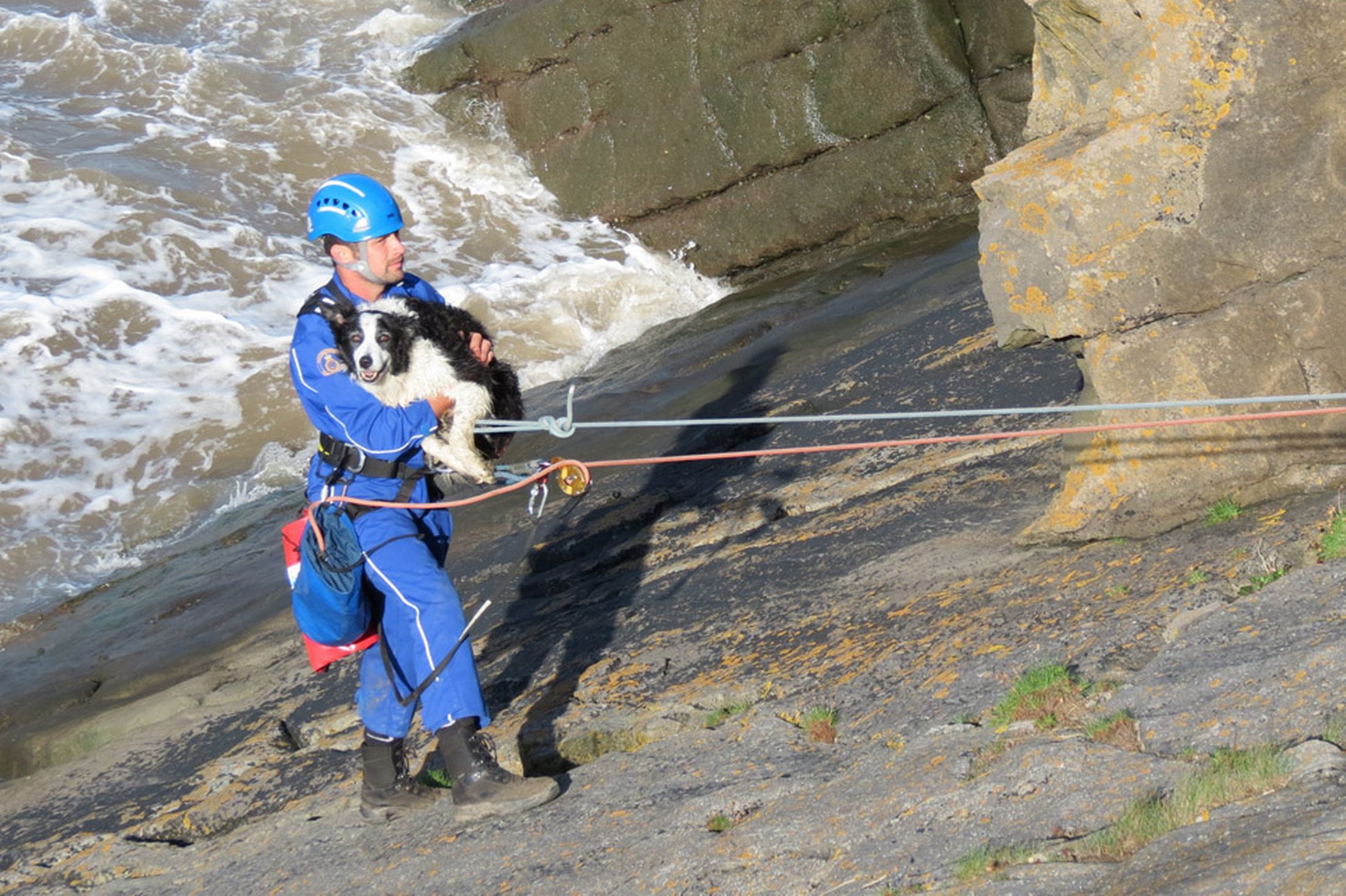 Coastguard Rescues Stranded Dog On Rocks
