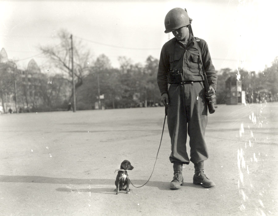 Army Pfc. Raymond Gasiorowski takes Leipzig, his company’s pet puppy, for a walk in Leipzig, Germany. April 19, 1945.
