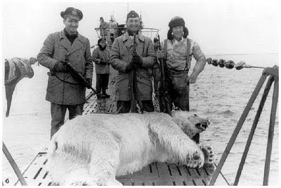 Zombie polar bear attacked a U-boat?