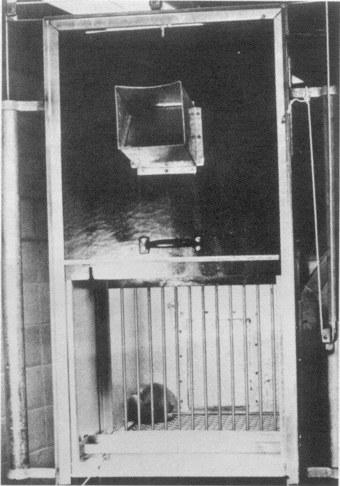 Harlow's Experiments In Isolation :
Rhesus monkeys were torn from their mothers as infants and forced into Harlow's "pit of despair" cage, with only a water bottle to keep them company. The point of the project was to study the effects of isolation on child development and subsequent depression. Not surprisingly, the baby monkeys became depressed. They also developed physical problems like poor digestion. Some even committed suicide by refusing food and water