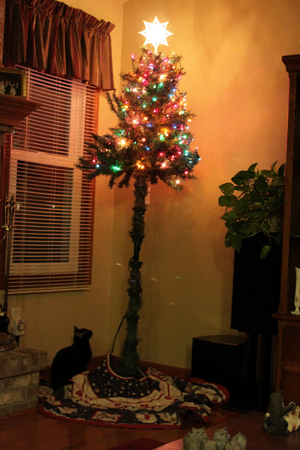 Christmas tree when you have the highest jumping kitten in history