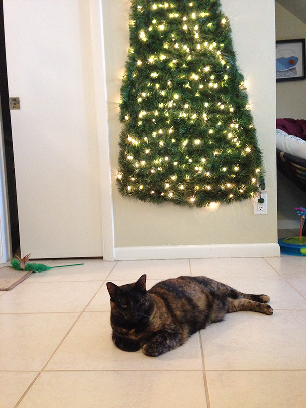 Friend finally found a way to have a cat proof Christmas tree