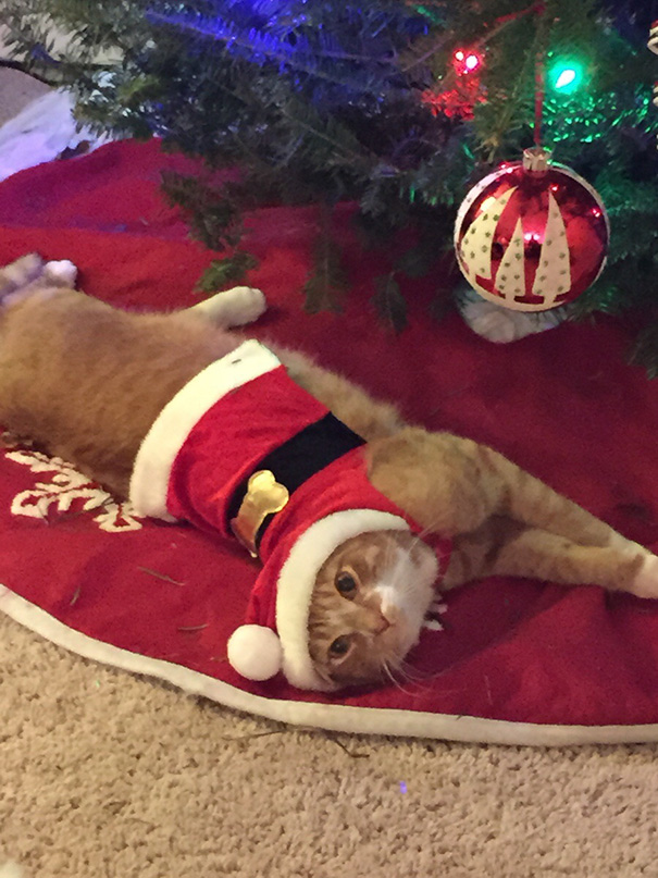 When he attacks an ornament he has to wear the suit for 15 minutes.