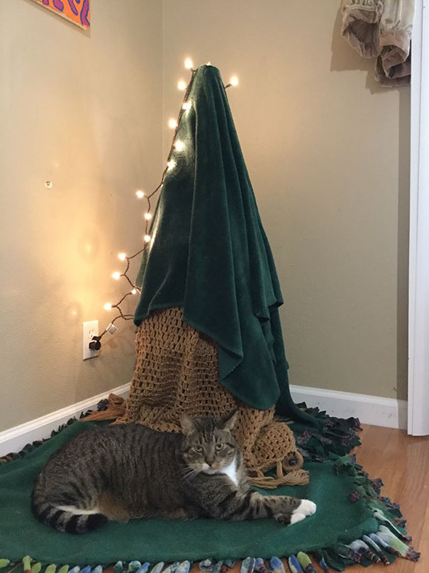 Christmas with a cat? Turn a tomato tree upside down, cover with cloth, and laugh at the absurdity of it all.