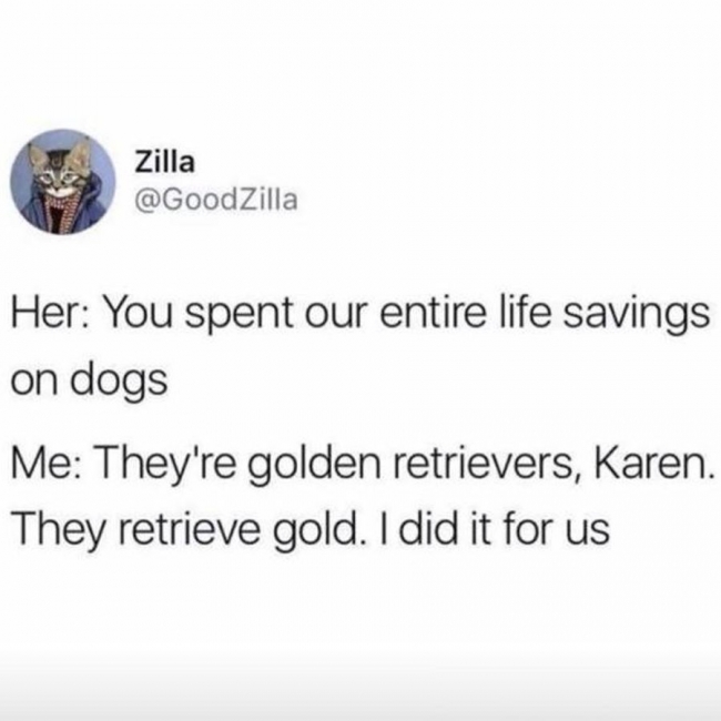 random pic material - og Zilla Her You spent our entire life savings on dogs Me They're golden retrievers, Karen. They retrieve gold. I did it for us