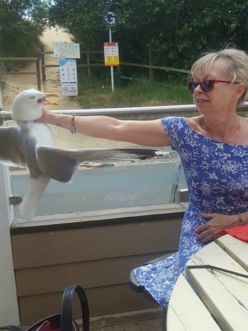 woman grabs seagull by neck