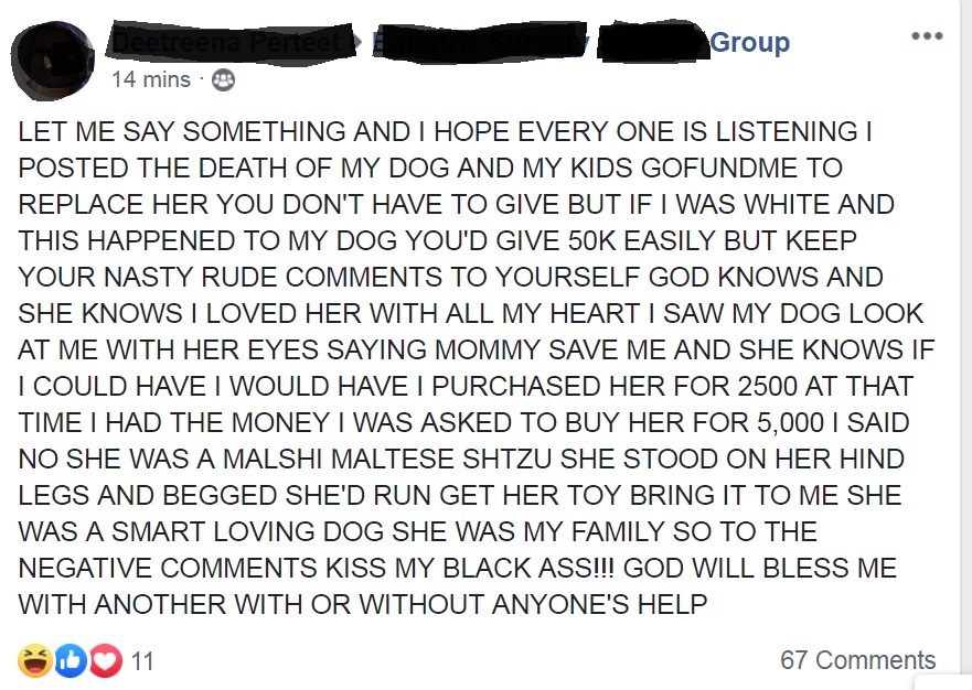 Woman looses her mind after asking a surgery support group on facebook to donate $5K to buy her a pedigree dog to replace her pet that just died.