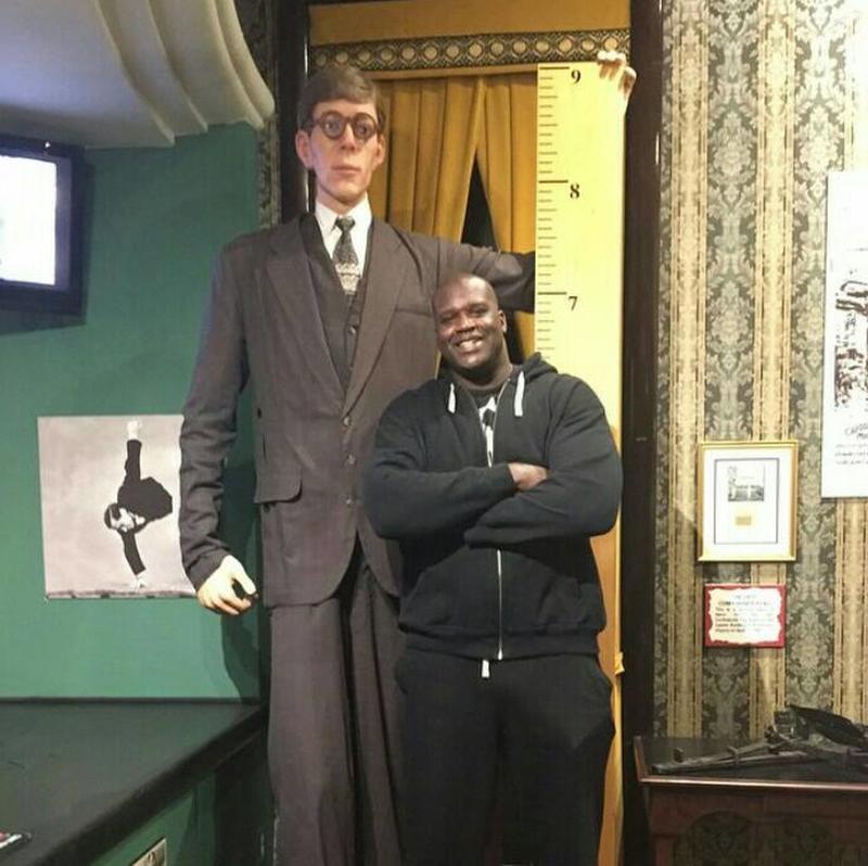 Shaquille O'Neal who is 7'1", being dwarfed by Robert Wadlow, the world's tallest man, who was 8' 11" tall