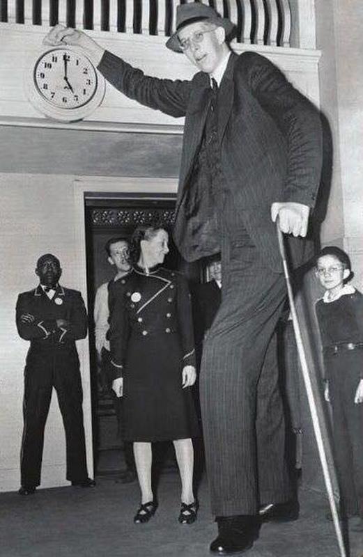 Robert Wadlow, also known as the Alton Giant and the Giant of Illinois, was 8′ 11″ and the tallest person ever in recorded history, sadly he passed away from an infection at the young age of 22