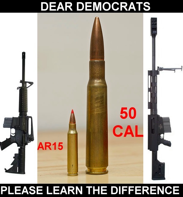 Democrats seem to be under the impression that AR15s are 50 Caliber Sniper Rifles. They're NOT