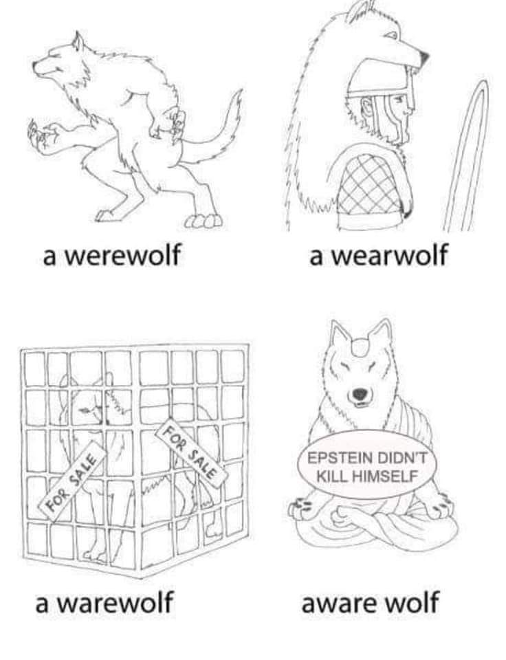 werewolf aware wolf meme - a werewolf a wearwolf For Sale Epstein Didn'T Kill Himself For Sale a warewolf aware wolf
