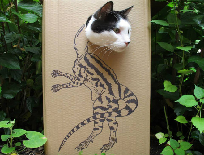 Bored Quarantined Owners Use Cardboard Boxes To Turn Their Pets Into Dinosaurs