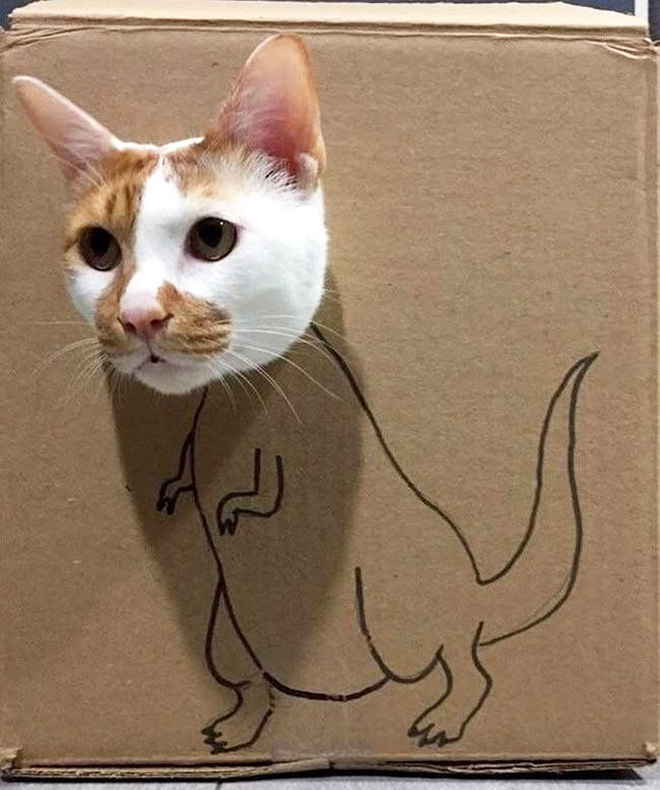 Bored Quarantined Owners Use Cardboard Boxes To Turn Their Pets Into Dinosaurs