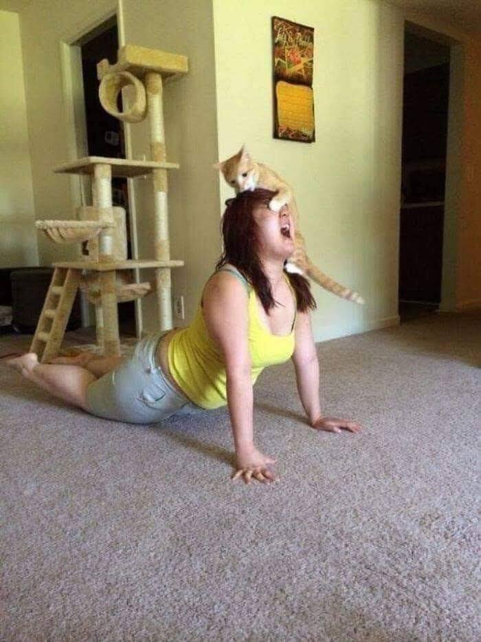 yoga cat girl