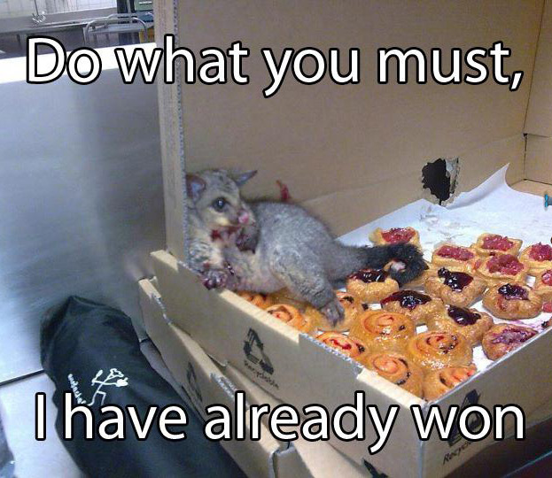 possum in bakery - Do what you must, I have already won