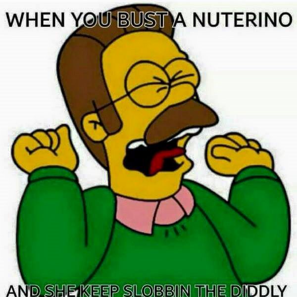 ned flanders when you bust a neutrino - When You Bust A Nuterino And She Keep Slobbin The Diddly