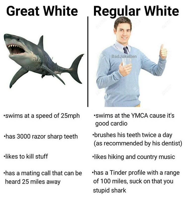 great white vs regular white - Great White Regular White BadJokeBen alamy stock photo swims at a speed of 25mph swims at the Ymca cause it's good cardio has 3000 razor sharp teeth brushes his teeth twice a day as recommended by his dentist to kill stuff h