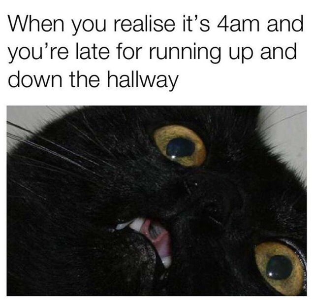 you realise its 4am - When you realise it's 4am and you're late for running up and down the hallway