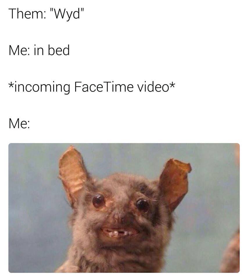 day after drinking - Them "Wyd" Me in bed incoming FaceTime video Me