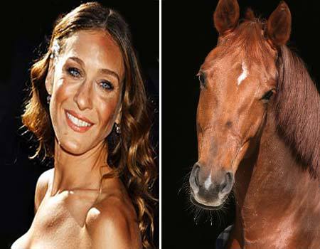 Sarah Jessica Parker Horse Comparison