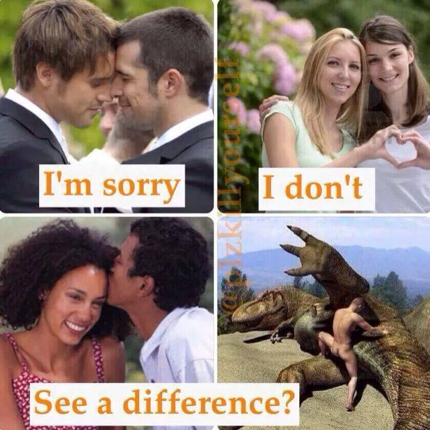 memes - sorry i don t see the difference - I'm sorry I don't See a difference?