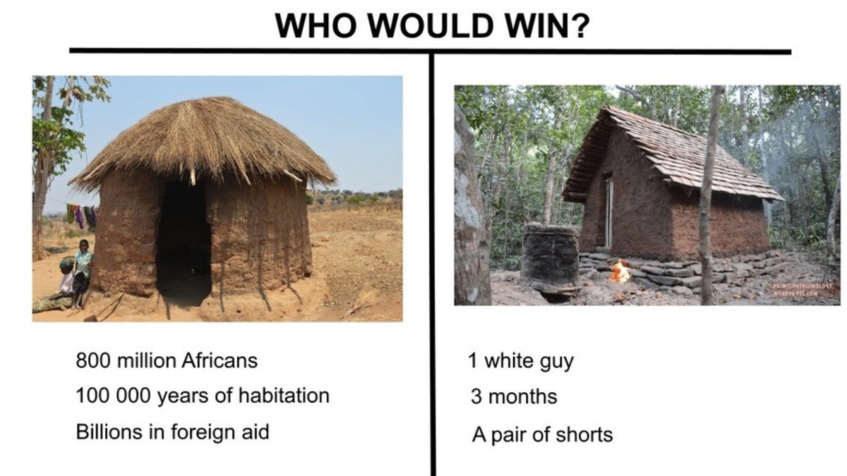 memes - primitive technology meme - Who Would Win? Paniticinology so 800 million Africans 100 000 years of habitation Billions in foreign aid 1 white guy 3 months A pair of shorts
