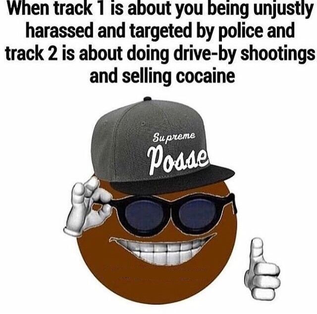 memes - Meme - When track 1 is about you being unjustly harassed and targeted by police and track 2 is about doing driveby shootings and selling cocaine Supreme Poanel